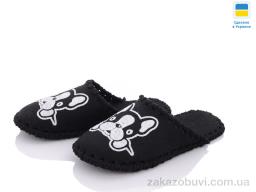 Шльопанці Active 253W чорний