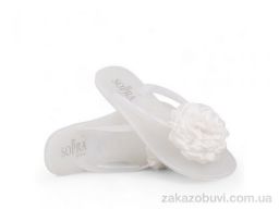Шлепки Allshoes 143829