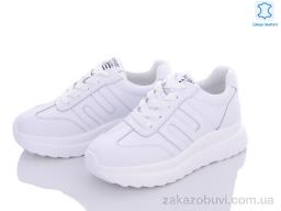 Кроссовки ITTS MT66-2