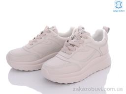 Кроссовки ITTS MT63-3