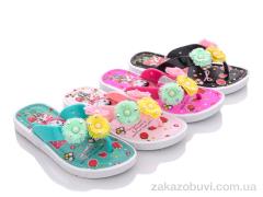 Шльопанці Lion FY22A mix