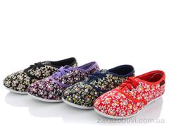 Сліпони Lion 251-93 mix