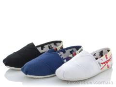 Сліпони Lion 251-33 mix