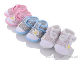 Пінетки Lion F2 mix