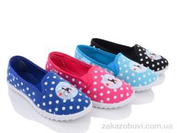 Сліпони Lion 103-3 mix