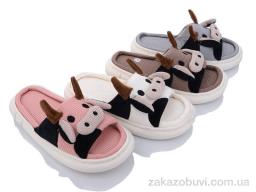 Капці Lion XRY57 mix