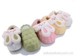 Капці Lion 2023HM-6 mix