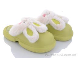 Тапки Lion 2336 green