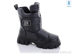 Чоботи Purlina P2312-1