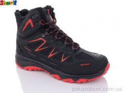 Ботинки Sharif 8045-3