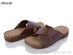 Шлепки Spencer 01 brown