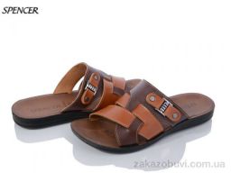 Шлепки Spencer 10575 brown