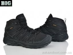 Ботинки BIG A12932-1