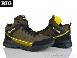 Ботинки BIG A08970-5