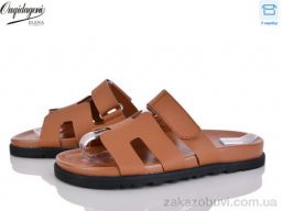 Шлепки Dageni 815-7