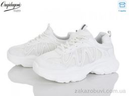 Кроссовки Dageni Y80-2