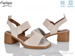 Босоножки Dageni F22196-3