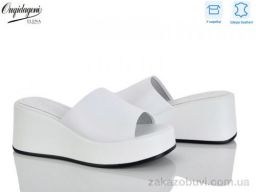 Шлепки Dageni F888-2