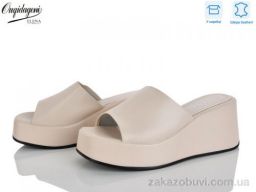 Шлепки Dageni F888-3