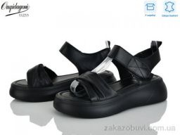 Босоножки Dageni F231-1