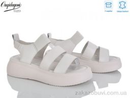 Босоножки Dageni F233-3