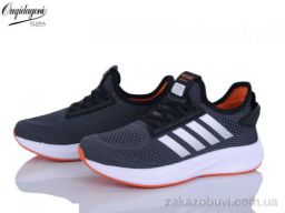 Кроссовки Dageni B2526-3