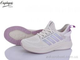 Кроссовки Dageni B2526-19