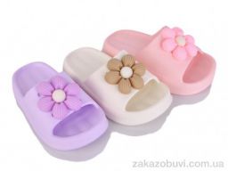 Шлепки Deshman C8699 mix