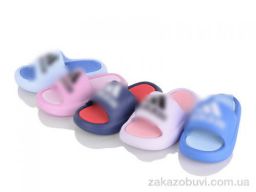 Шлепки Family S0751 mix