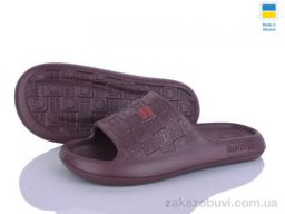Шлепки Golden Lion 144 шоколадний