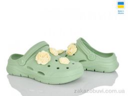 Кроксы Golden Lion 411 фісташки