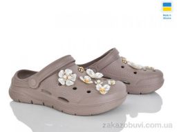 Кроксы Golden Lion 413 капучино