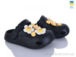 Кроксы Golden Lion 331 чорний