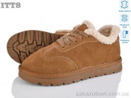 Кроссовки ITTS HY077-28