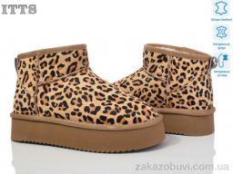 Угги ITTS A1805