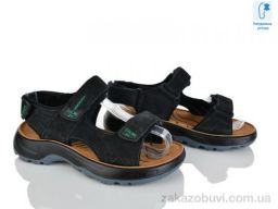 Сандалии KIMBOO T67-3A