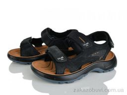 Сандалии KIMBOO T64-3A