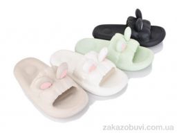 Шлепки Lion-Lu 917-1 mix