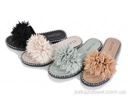 Шлепки Lion-Lu FY57-5 mix