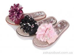 Шлепки Lion-Lu 783-85 mix