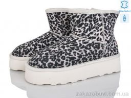 Угги Мир 4224-5854 shell