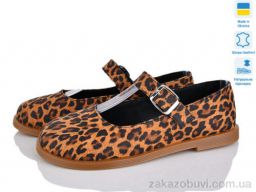 Туфли Prime-Opt Paradize 9761-13 коричневый