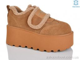 Туфли Teetspace-Trasta-Egga WMP1113-5