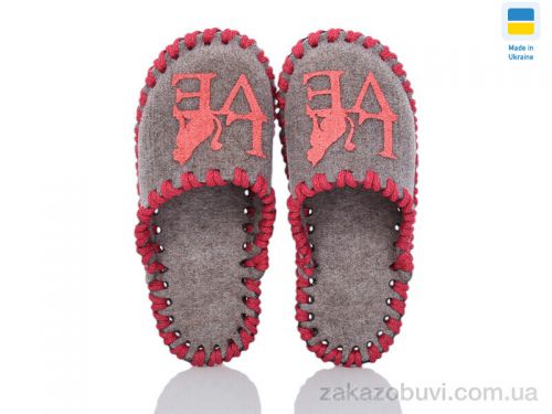 Pantyhose \ Тапки Active 034 бежевий #2