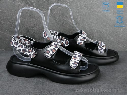 Conpax \ Босоножки Ailinda 879-211 #2