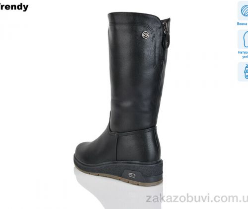 American \ Чоботи Trendy CH3835-1 #2